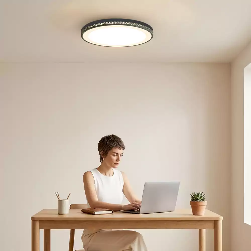 The Moss Disc Ceiling Mounted light
